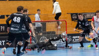 florbal fcb API 2013